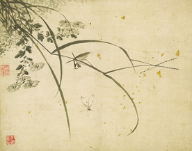 植物花朵工笔画