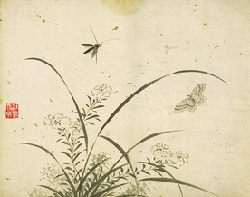 植物花朵工笔画