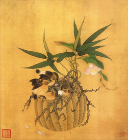 植物花朵工笔画