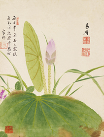 精美工笔花卉图