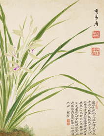 精美工笔花卉图