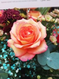 一朵橙色玖瑰花