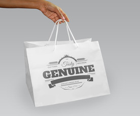 纸袋设计效果图