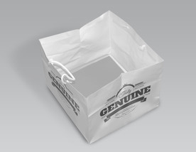 纸袋设计效果图