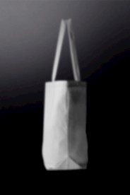 纸袋设计效果图