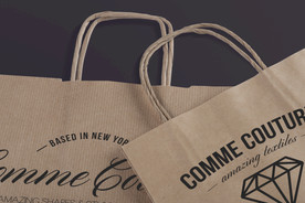 纸袋设计效果图