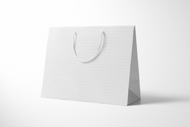 手提袋 购物袋 服装 饰品袋子