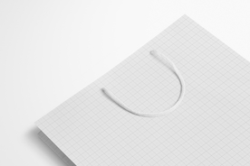 手提袋 购物袋 服装 饰品袋子