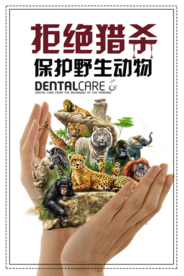 保护野生动物公益海报