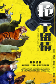 保护野生动物公益海报