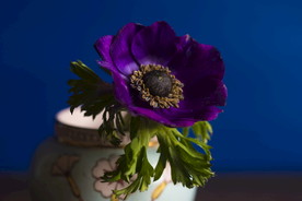 花束捧花桌花插花花艺图片