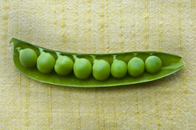 豌豆