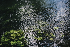 水面波纹图案背景图片