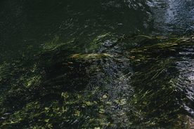 水面波纹图案背景图片