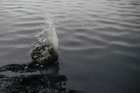 水面波纹图案背景图片