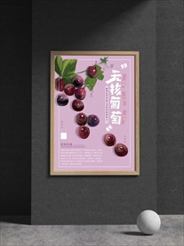 葡萄海报