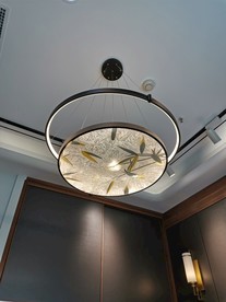 花草创意灯饰 新中式吊灯 圆形