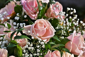 玫瑰花捧花插花浪漫图片