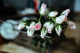 玫瑰花捧花插花浪漫图片