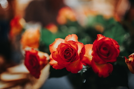 玫瑰花捧花插花浪漫图片