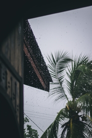 雨