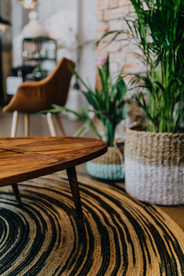 盆栽盆景瓶栽室内外花草图片