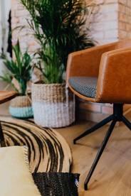 盆栽盆景瓶栽室内外花草图片