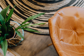 盆栽盆景瓶栽室内外花草图片