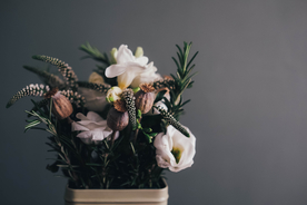 盆栽盆景瓶栽室内外花草图片