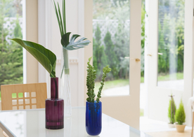 盆栽盆景瓶栽室内外花草图片