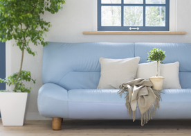 盆栽盆景瓶栽室内外花草图片