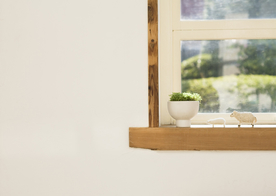 盆栽盆景瓶栽室内外花草图片