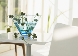 盆栽盆景瓶栽室内外花草图片