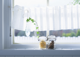 盆栽盆景瓶栽室内外花草图片