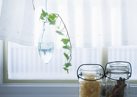 盆栽盆景瓶栽室内外花草图片