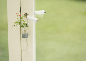 盆栽盆景瓶栽室内外花草图片