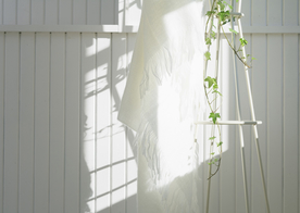 盆栽盆景瓶栽室内外花草图片