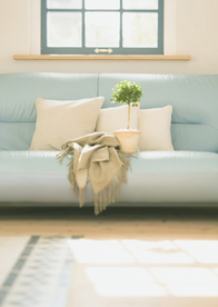 盆栽盆景瓶栽室内外花草图片