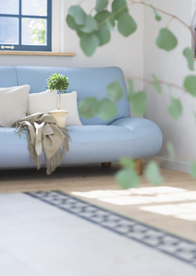 盆栽盆景瓶栽室内外花草图片