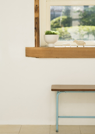 盆栽盆景瓶栽室内外花草图片