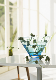 盆栽盆景瓶栽室内外花草图片