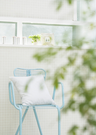 盆栽盆景瓶栽室内外花草图片