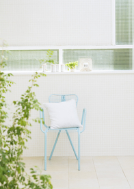 盆栽盆景瓶栽室内外花草图片