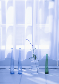 盆栽盆景瓶栽室内外花草图片