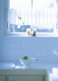 盆栽盆景瓶栽室内外花草图片