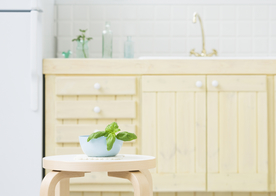 盆栽盆景瓶栽室内外花草图片