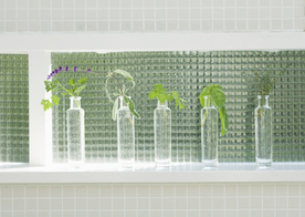 盆栽盆景瓶栽室内外花草图片