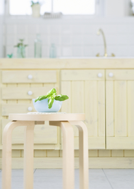 盆栽盆景瓶栽室内外花草图片