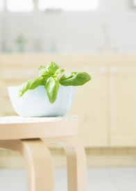 盆栽盆景瓶栽室内外花草图片