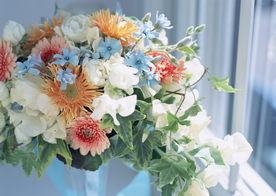 盆栽盆景瓶栽室内外花草图片